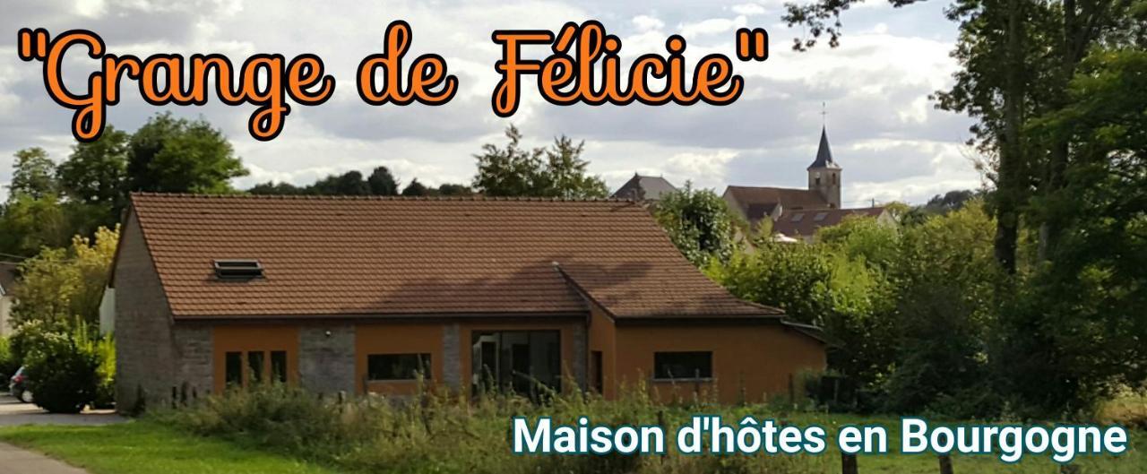 Charrey-sur-Saone La Grange De Felicie B&B 외부 사진